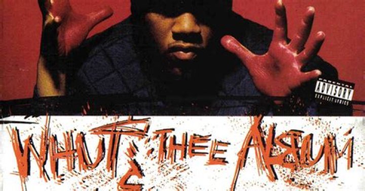 Redman's Debut Album Turns 28 & It's Still "Time 4 Sum Aksion"