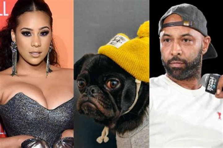 Joe Budden Accused Of Masturbating His Dog In Cyn Santana's Alleged Legal Papers