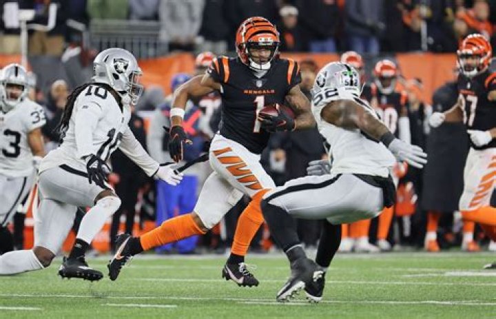 Refs Responsible For Controversial Bengals-Raiders Whistle Out For Rest Of Postseason