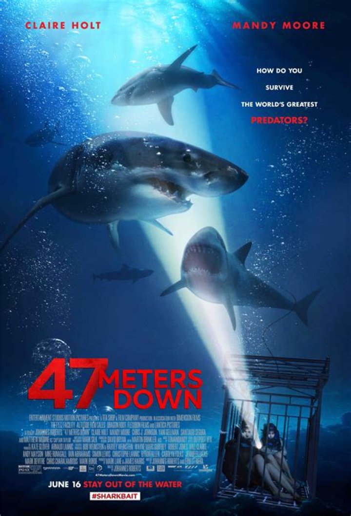47 Meters Down (2017 film): perfil de los miembros, hechos, wiki, logros, patrimonio neto 2024 (actualizado)