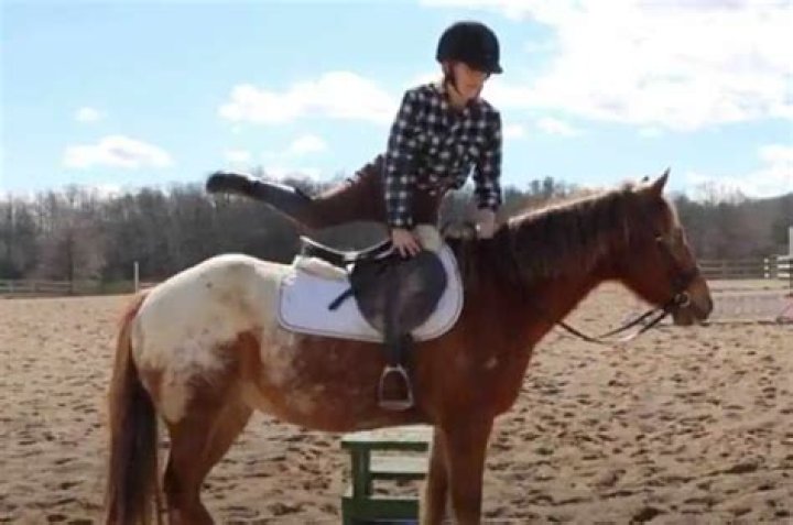 Rick Ross Attempts To Mount A Horse