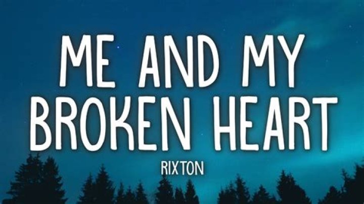 Me and My Broken Heart (Remix)