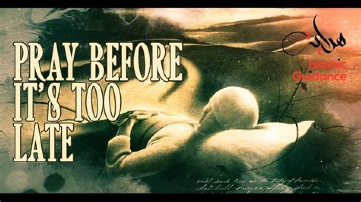 PSA: Download Your Vine Videos Now Before It's Too Late