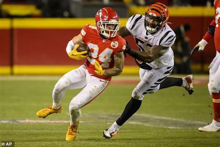 Bengals' Germaine Pratt Screams At Teammate Joseph Ossai For Late Game Mistake