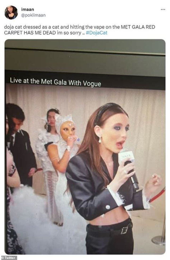 Doja Cat Might Not Be Invited Back To Met Gala For Vaping