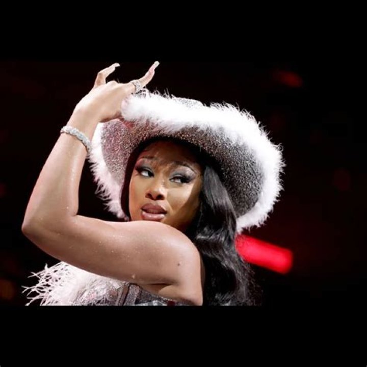 Megan Thee Stallion Net Worth 2023: What Is She Worth?