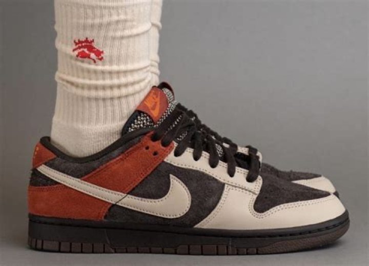 Nike Dunk Low “Red Panda” On-Foot Photos