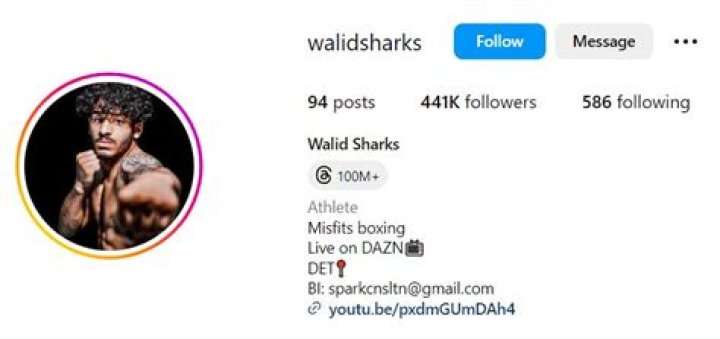 Walid Sharks Net Worth 2023: What Is The Influencer Boxing Star Worth?