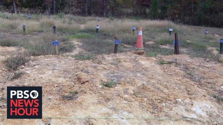 215 Unmarked Graves Behind Mississippi Jail: What We Know