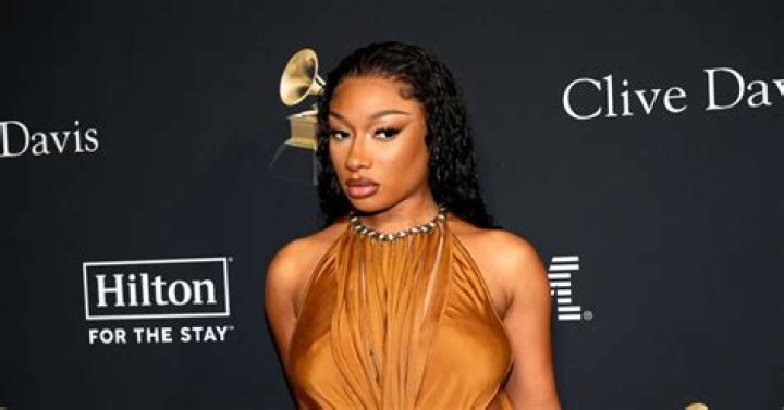 Megan Thee Stallion's Lawyer Calls Harassment Case A "Salacious" Money Grab