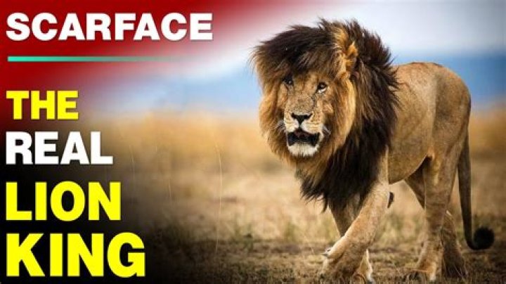 Why Scarface is One of the Greatest of All Time