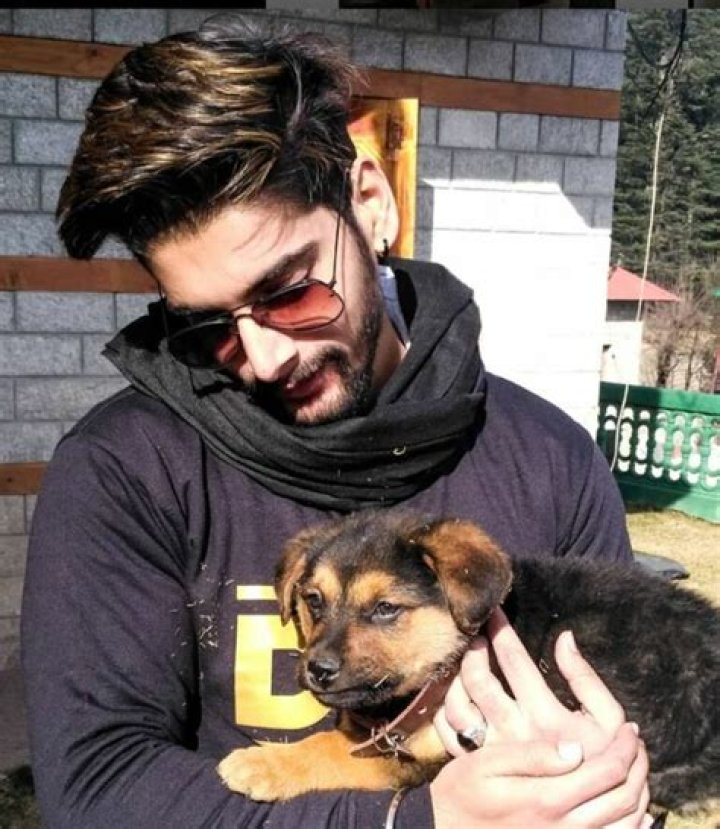 
Akshit Sukhija Height, Weight, Net Worth, Age, Birthday, Wikipedia, Who, Nationality, Biography 