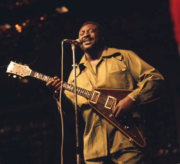 Albert King (Guitarist) - Age, Birthday, Bio, Facts, Family, Net Worth, Height & More