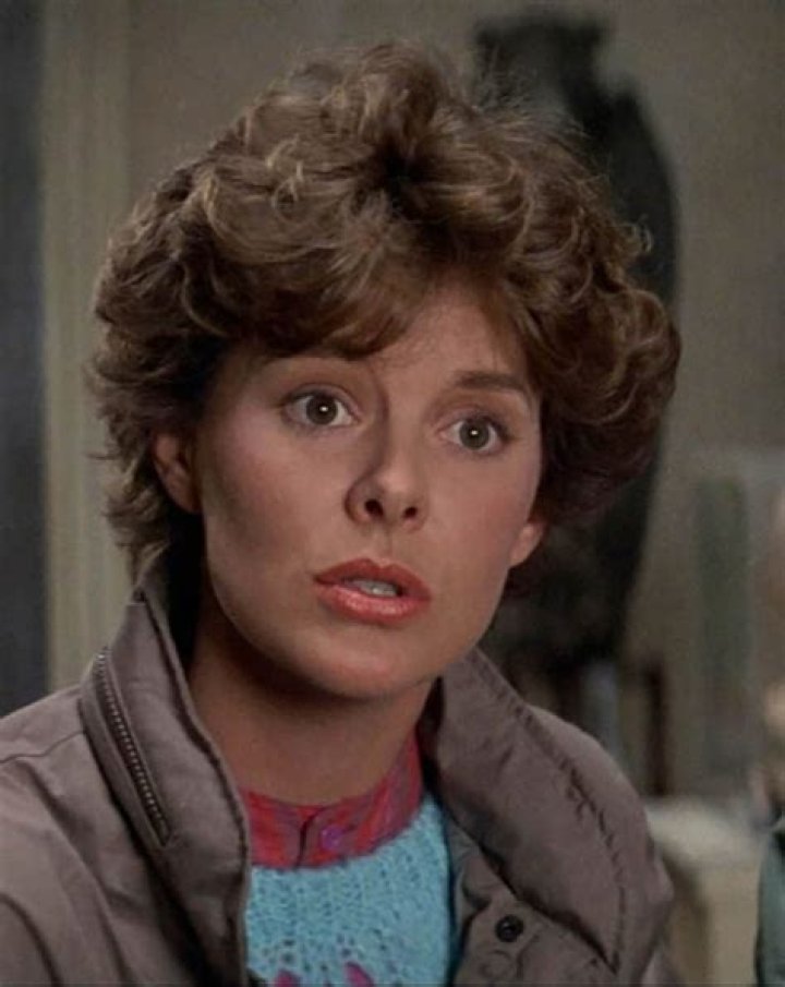 Amanda Bearse (TV Actress) - Age, Birthday, Bio, Facts, Family, Net Worth, Height & More