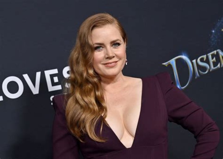 Amy Adams Biography, Age, Height, Husband, Net Worth, Family
