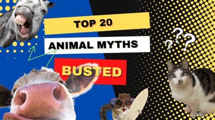 10 Popular Animal Myths You Probably Mistakenly Believe