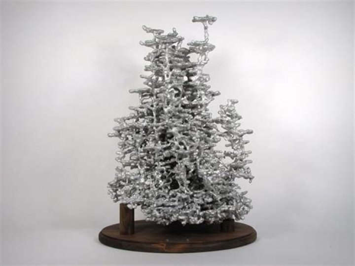 Anthill Art Creations And The Complexity of Ant Colonies