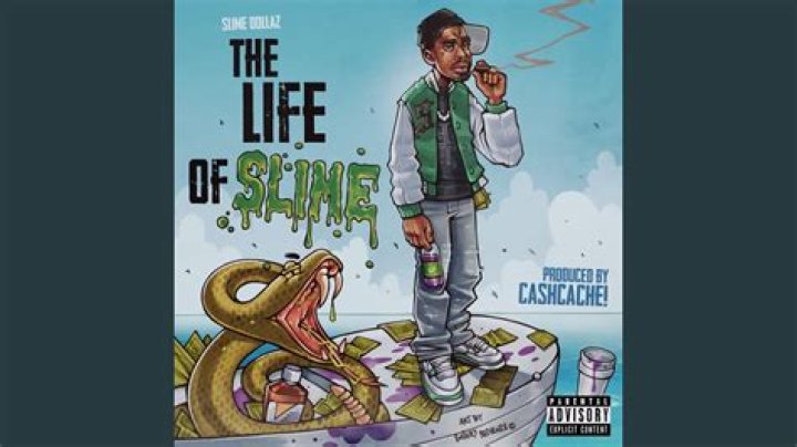 Asapshahed (TikTok Star) - Age, Birthday, Bio, Facts, Family, Net Worth, Height & More