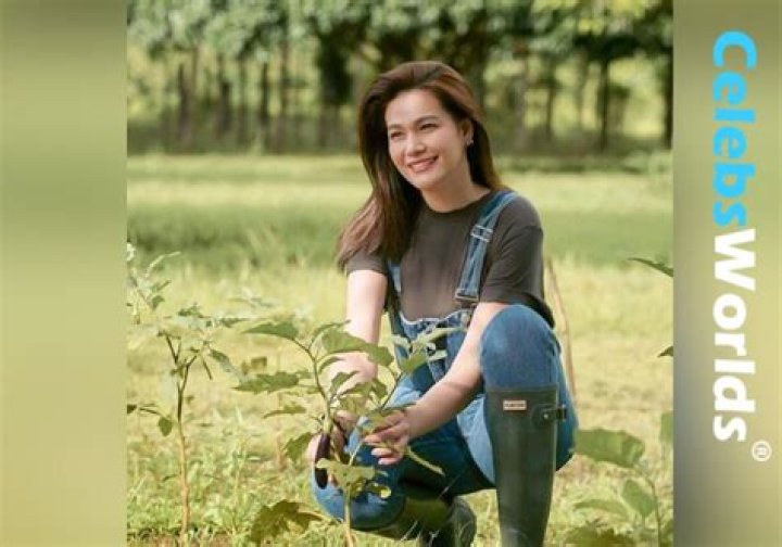 Bea Alonzo (TV Actress) - Age, Birthday, Bio, Facts, Family, Net Worth, Height & More