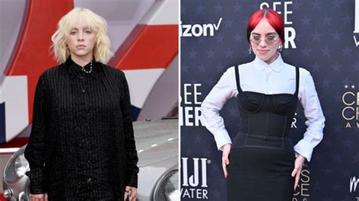 Billie Eilish’s Weight Loss Transformation Is Incredible! The Musician Then and Now [Photos]