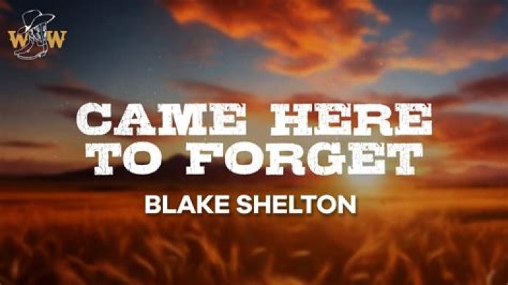 Is Blake Shelton’s New Song, “Came Here to Forget,” About Gwen Stefani?