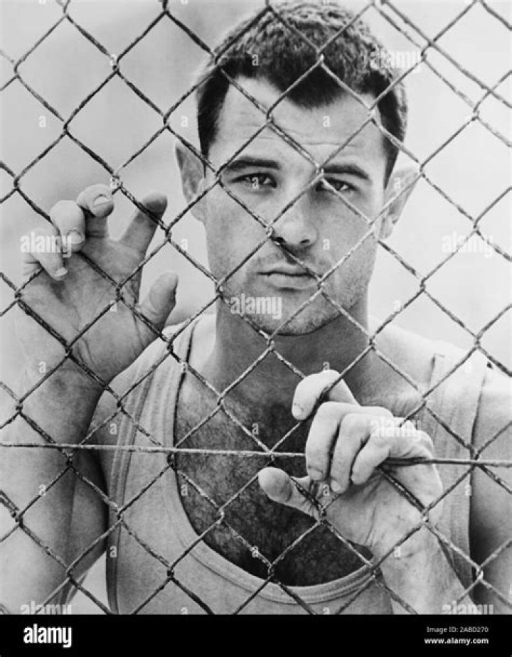 How tall is Brad Davis