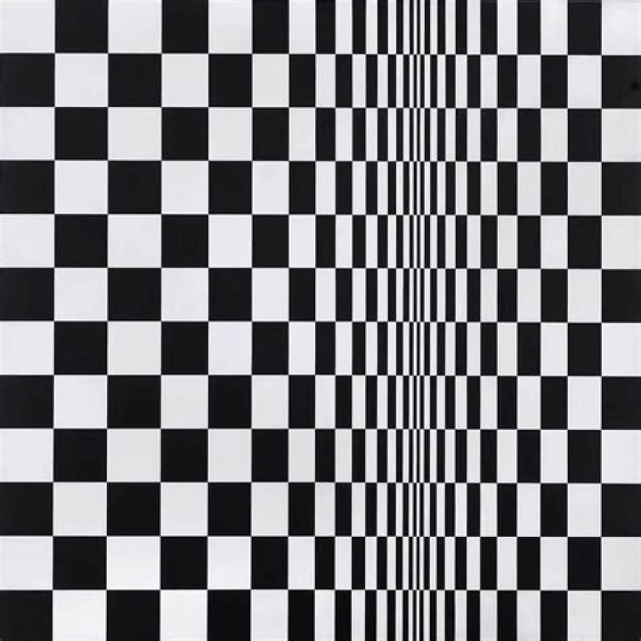 Bridget Riley (Painter) - Age, Birthday, Bio, Facts, Family, Net Worth, Height & More