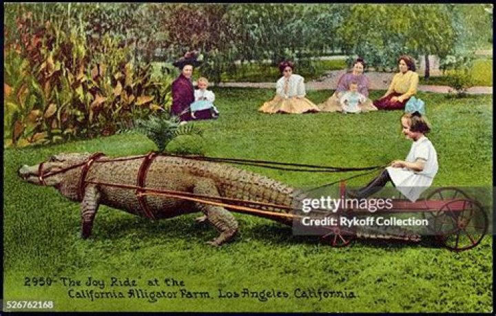 The California Alligator Farm, Where Humans And Gators Played Together