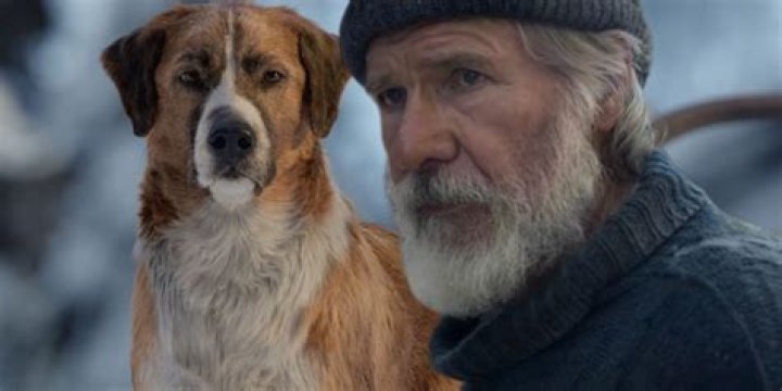 The Real-Life Dog That Inspired Buck From 'The Call Of The Wild'
