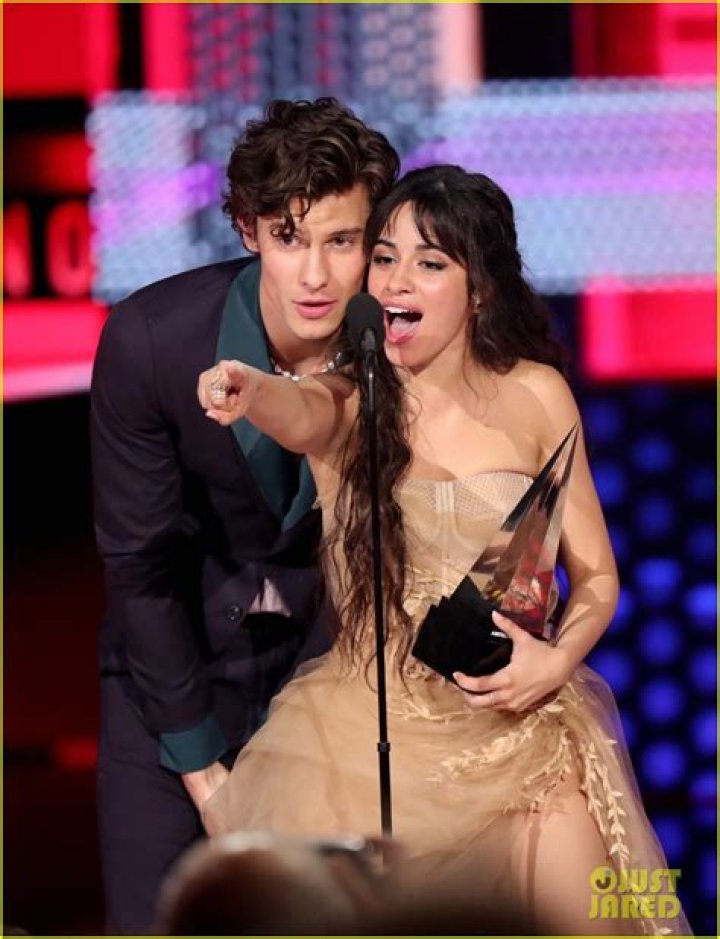 Single and Ready to Mingle! Camila Cabello Reveals Her DM Activity After Shawn Mendes Split