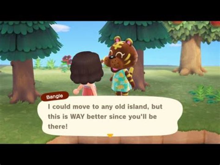 Can Chai move to your island? – Celebrity.fm – #1 Official Stars, Business & People Network, Wiki, Success story, Biography & Quotes