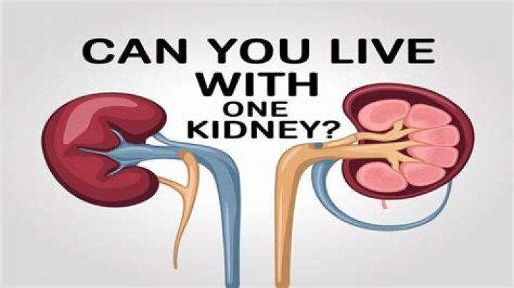 Can you live with one kidney? – Celebrity.fm – #1 Official Stars, Business & People Network, Wiki, Success story, Biography & Quotes