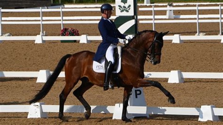 Carl Hester (Equestrian) - Age, Birthday, Bio, Facts, Family, Net Worth, Height & More