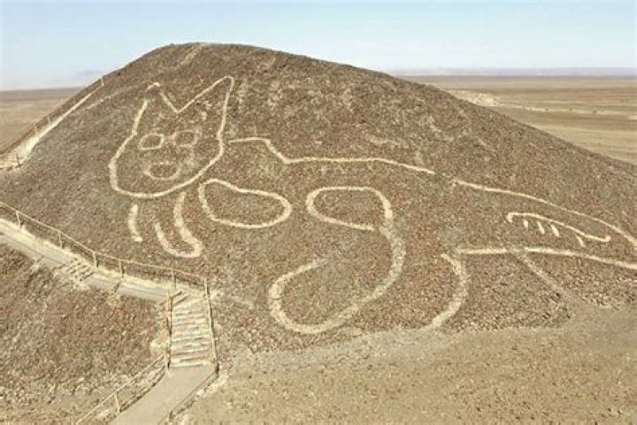 Archaeologists Unearth Cat Drawing At Peru's Famous Nazca Lines Site