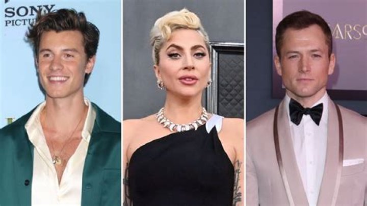 Cold in Here! Shawn Mendes, Lady Gaga and More Stars Who’ve Taken the Polar Plunge: Photos