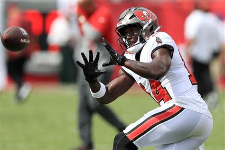 Chris Godwin (Football Player) - Age, Birthday, Bio, Facts, Family, Net Worth, Height & More