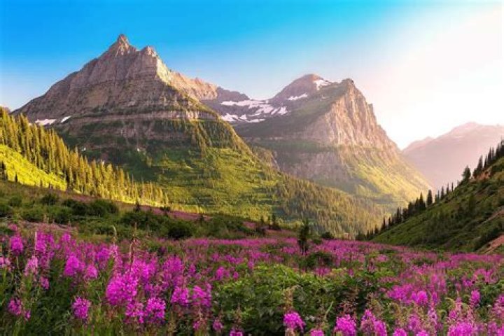 The Coolest National Parks In The United States