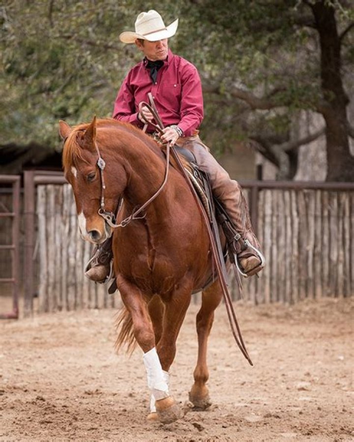 Craig Cameron (Hockey Player) - Age, Birthday, Bio, Facts, Family, Net Worth, Height & More