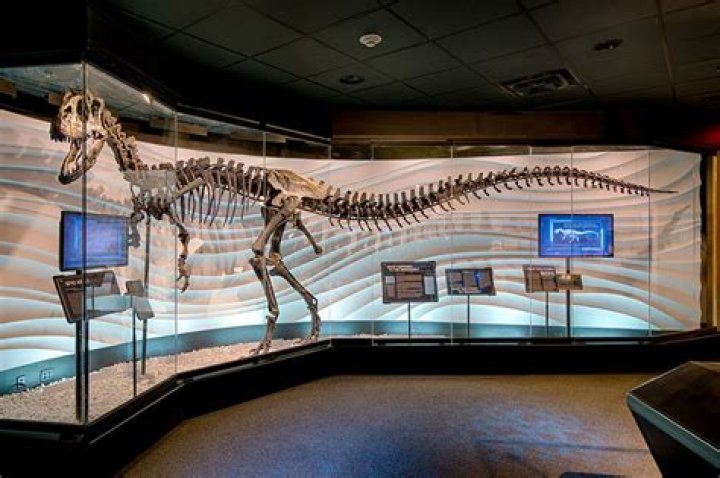 We Visited The Creation Museum. This Is What We Saw.