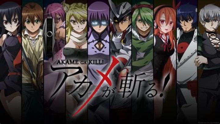 ¿Cuántas temporadas son de Akame ga Kill? - Celebrity.fm