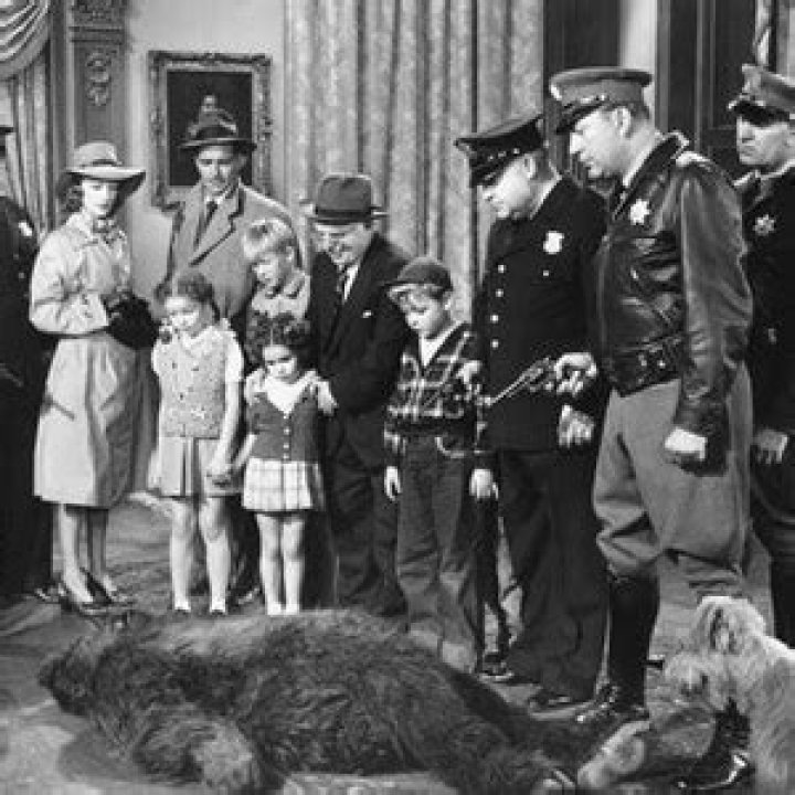 Dale Belding Biography, Age, Height, Wife, Net Worth, Family