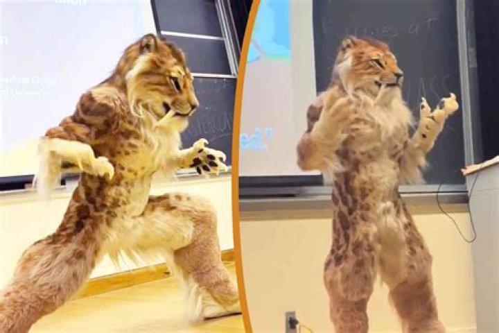 David Benaron Biography, Age, Height, Wife, Net Worth, Family