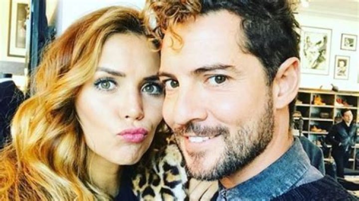 Spanish Singer David Bisbal Is Engaged to Longtime Girlfriend Rosanna Zanetti!