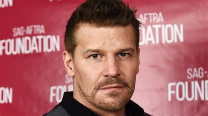 David Boreanaz Height, Weight, Net Worth, Age, Birthday, Wikipedia, Who, Instagram, Biography