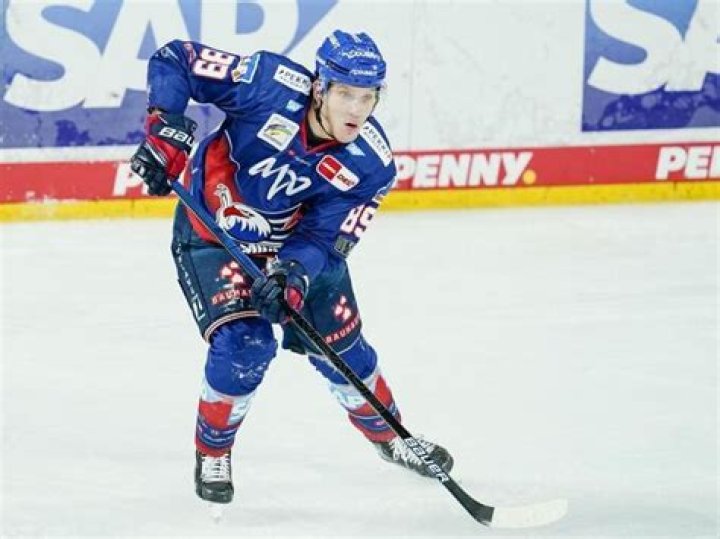 David Wolf Biography, Age, Height, Wife, Net Worth, Family