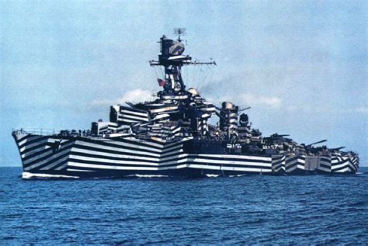25 Photos Of Navy Ships In Bizarre Disguise