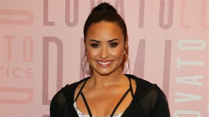 Demi Lovato Had A Sweet Post-Rehab Christmas With Her Family — And Puppies Galore