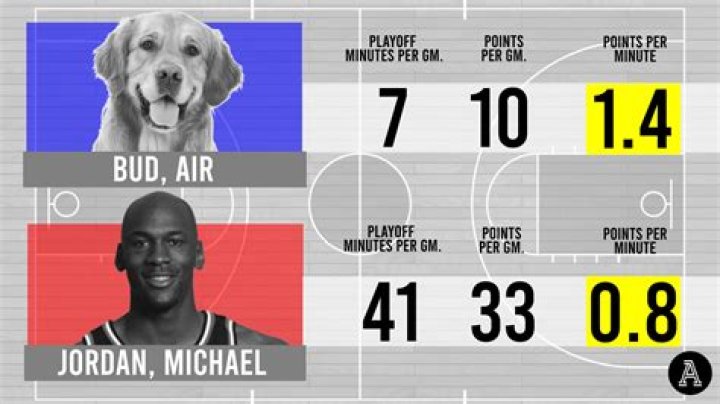 ¿Air Bud realmente jugó al baloncesto? – Celebrity.fm