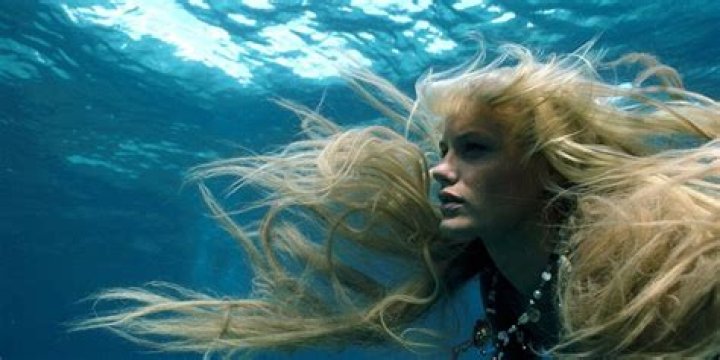 Did Tom Hanks become a mermaid in Splash? – Celebrity.fm – #1 Official Stars, Business & People Network, Wiki, Success story, Biography & Quotes