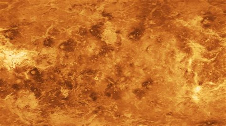 Did Vicario ice Venus? – Celebrity.fm – #1 Official Stars, Business & People Network, Wiki, Success story, Biography & Quotes